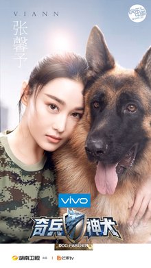 奇兵神犬