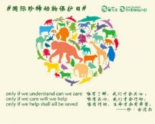 国际珍稀动物保护日-万象百科